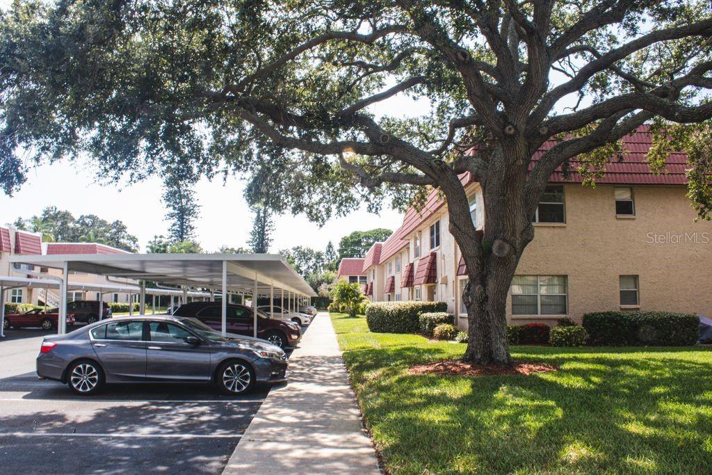 Image 22 of 22 For 10037 62nd Terrace N 19