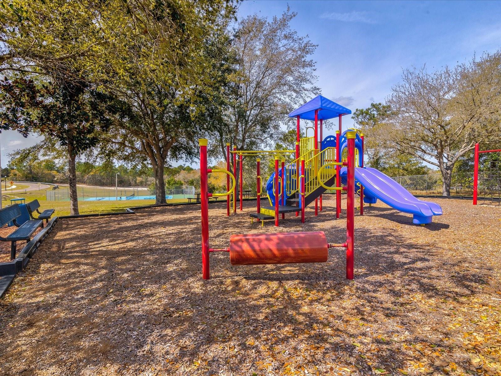 Image 46 of 60 For 13417 Whitehaven Court