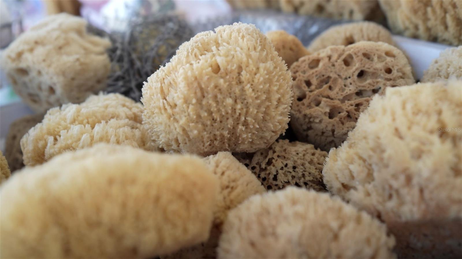 Listing photo id 62 for 1040 Dartford Drive