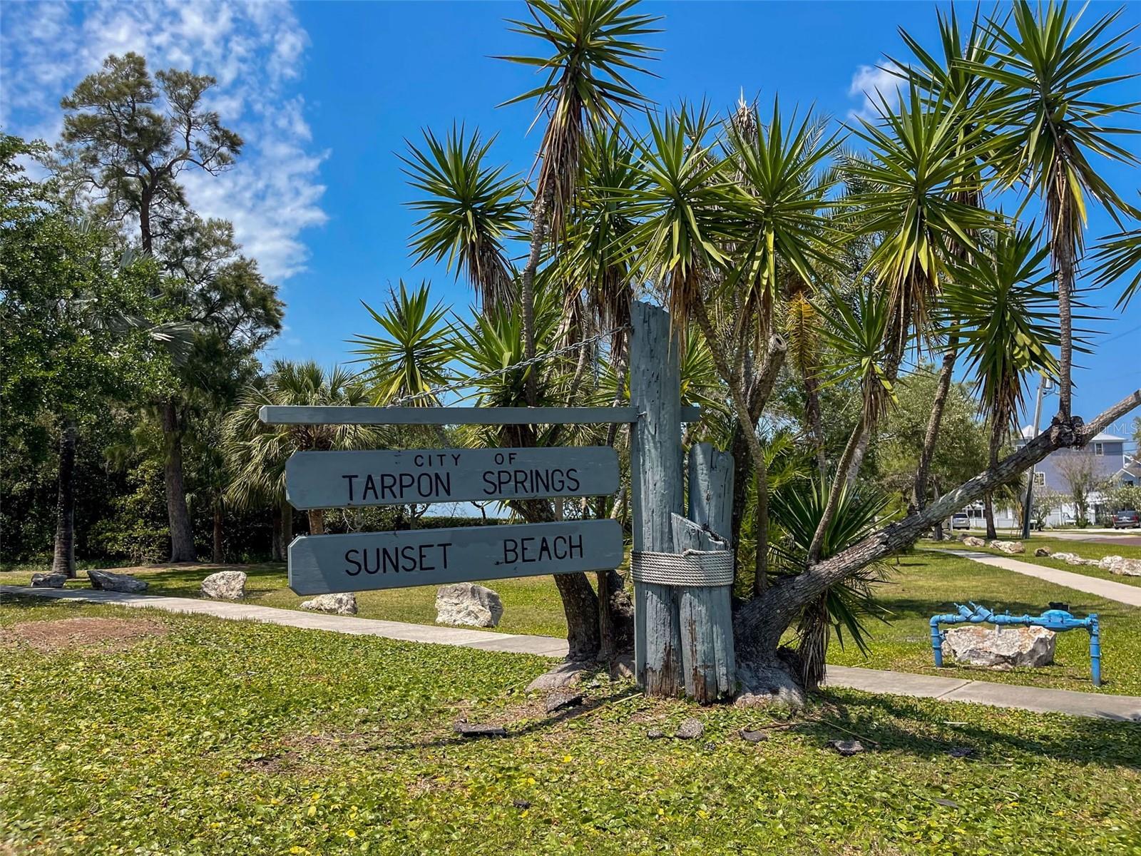 Listing photo id 76 for 1040 Dartford Drive