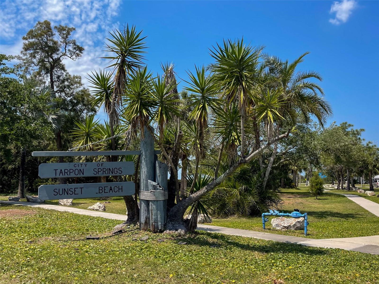 Listing photo id 78 for 1040 Dartford Drive