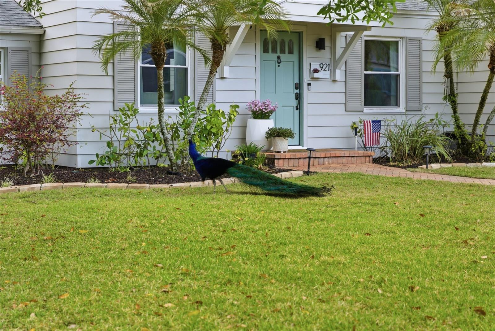 Image 34 of 43 For 921 Cornelius Avenue