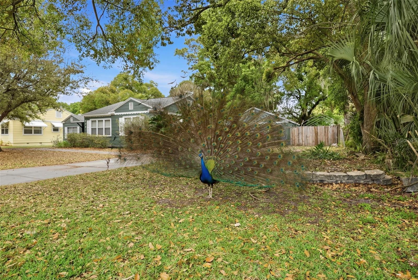 Image 35 of 43 For 921 Cornelius Avenue