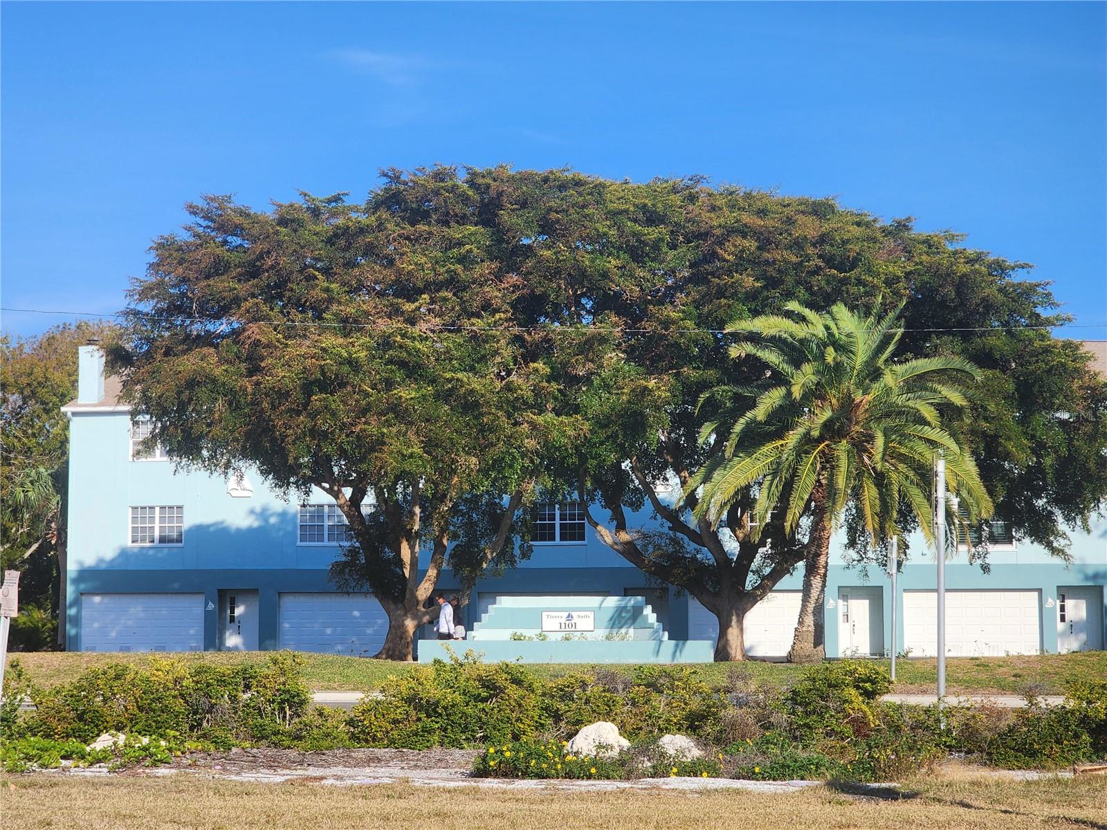 Image 34 of 35 For 1101 Pinellas Bayway S 303