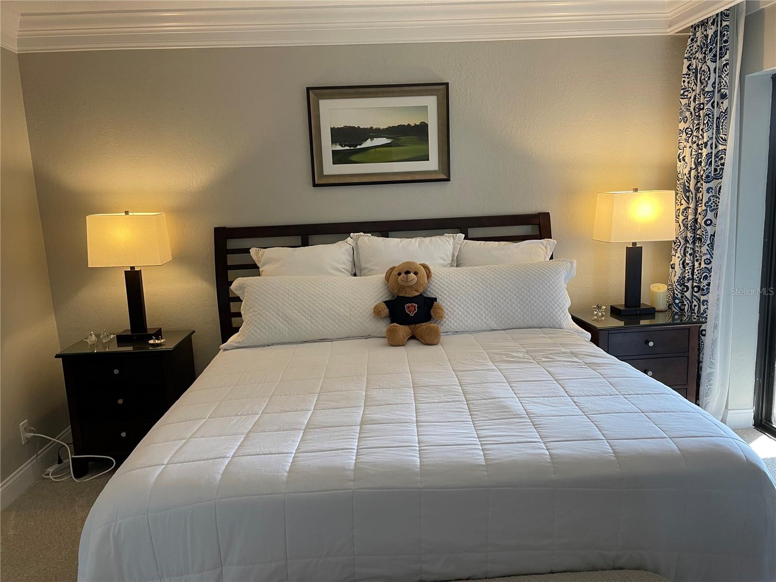 Image 15 of 23 For 36750 Us Highway 19 N 14-211