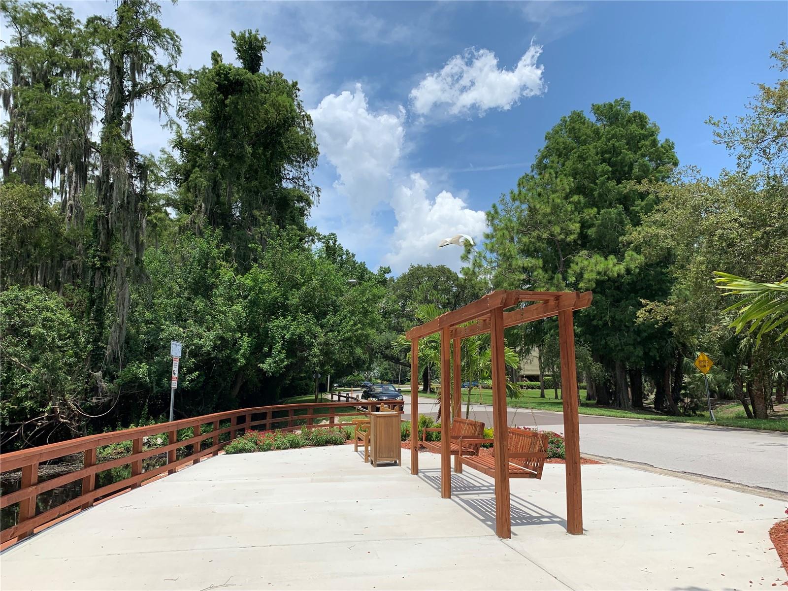 Image 21 of 23 For 36750 Us Highway 19 N 14-211