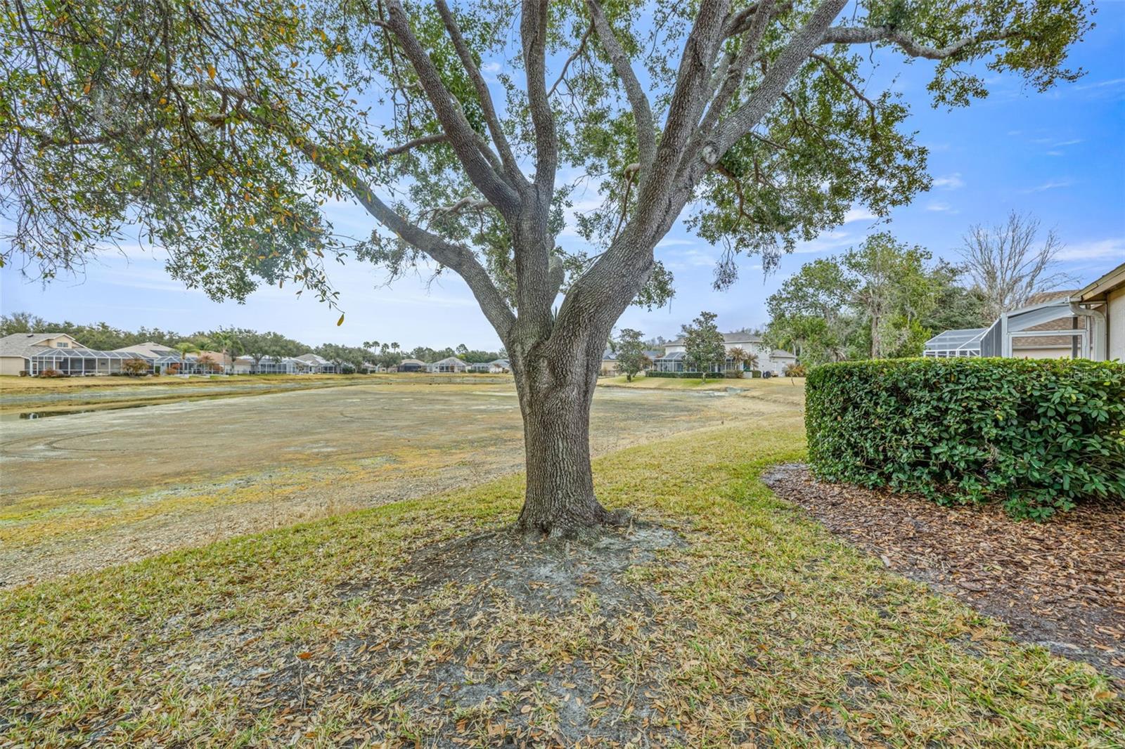 Image 29 of 45 For 10246 Timberland Point Dr