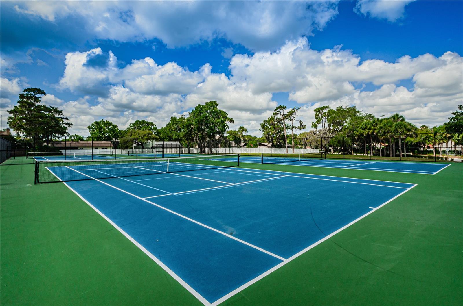 Listing photo id 42 for 2225 Longmore Circle