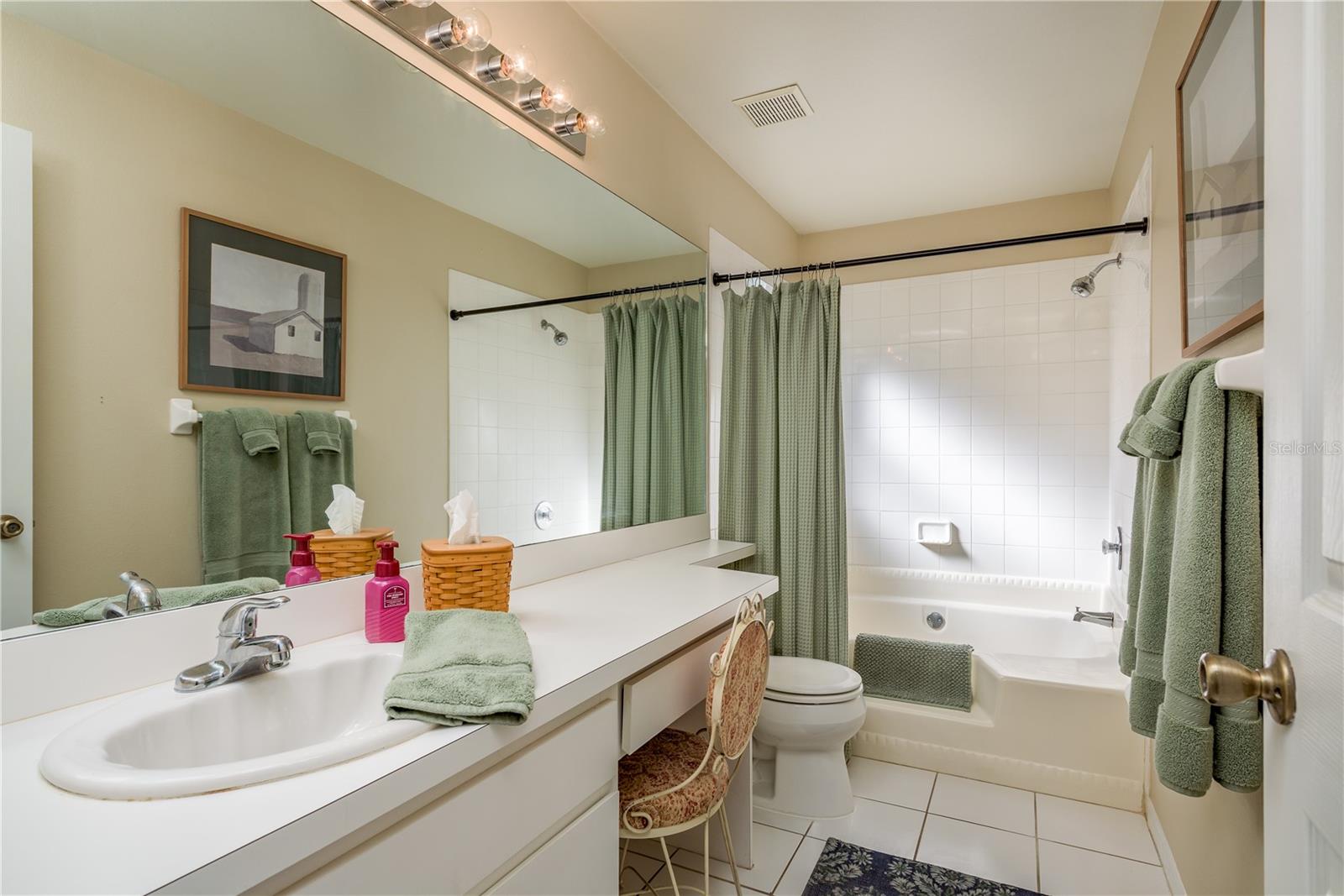 Image 17 of 36 For 28540 Tall Grass Drive