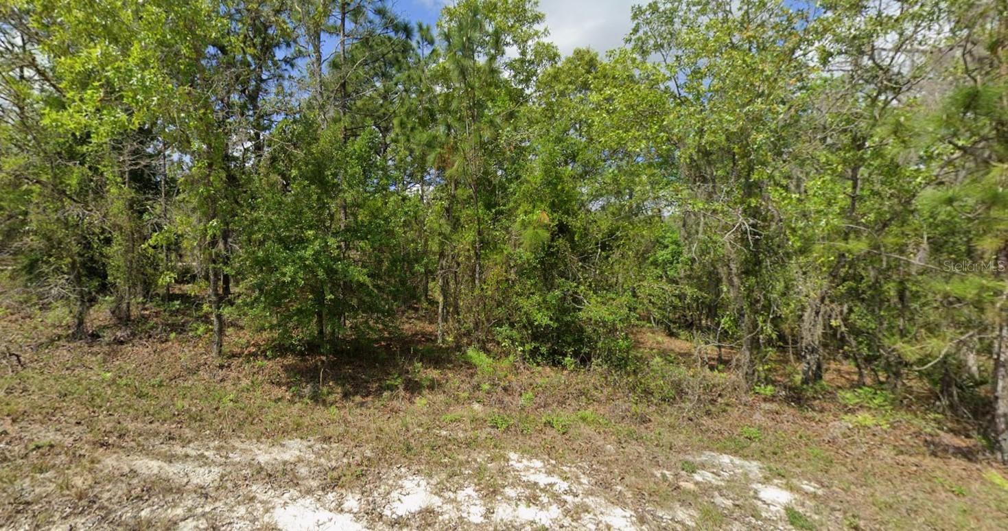 Listing Details for 14135 Eastern Phoebe Road, BROOKSVILLE, FL 34614