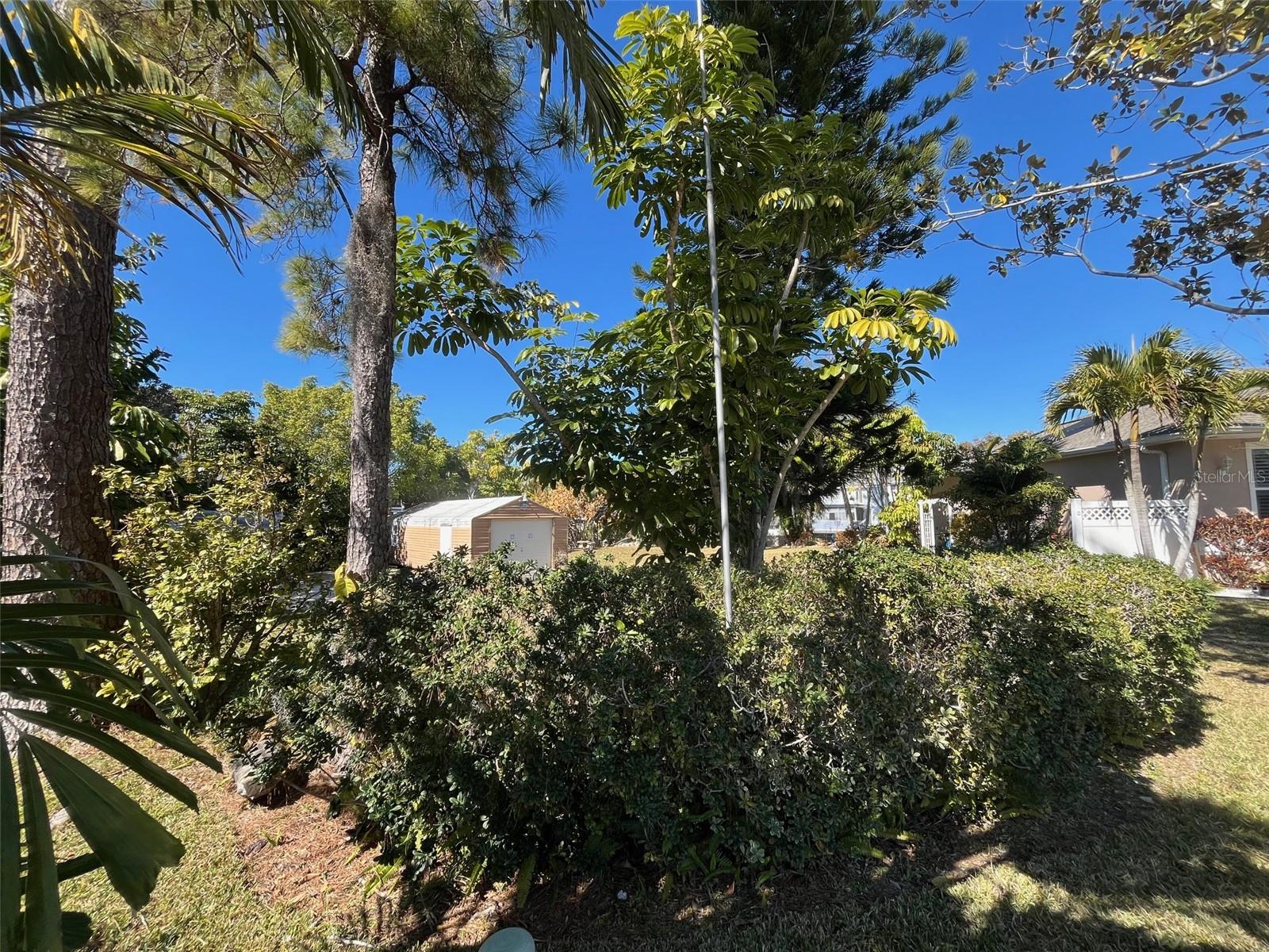 Image 13 of 24 For Lot 96 Blue Jay Circle