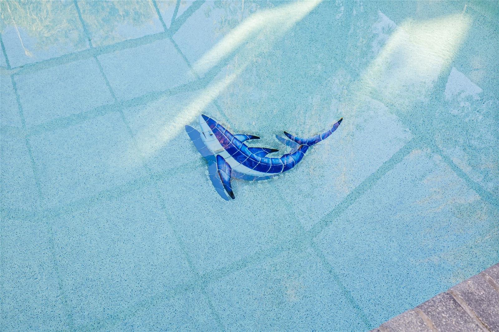 Image 47 of 58 For 1904 Hesperides Street