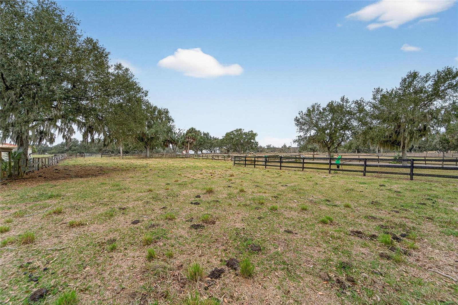 Image 19 of 38 For 2181 Trapnell Road