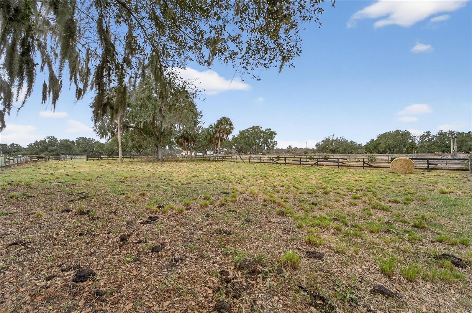 Image 20 of 38 For 2181 Trapnell Road