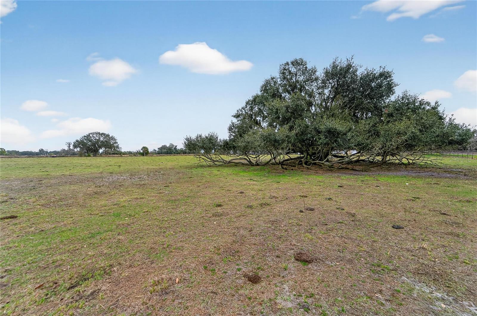 Image 30 of 38 For 2181 Trapnell Road