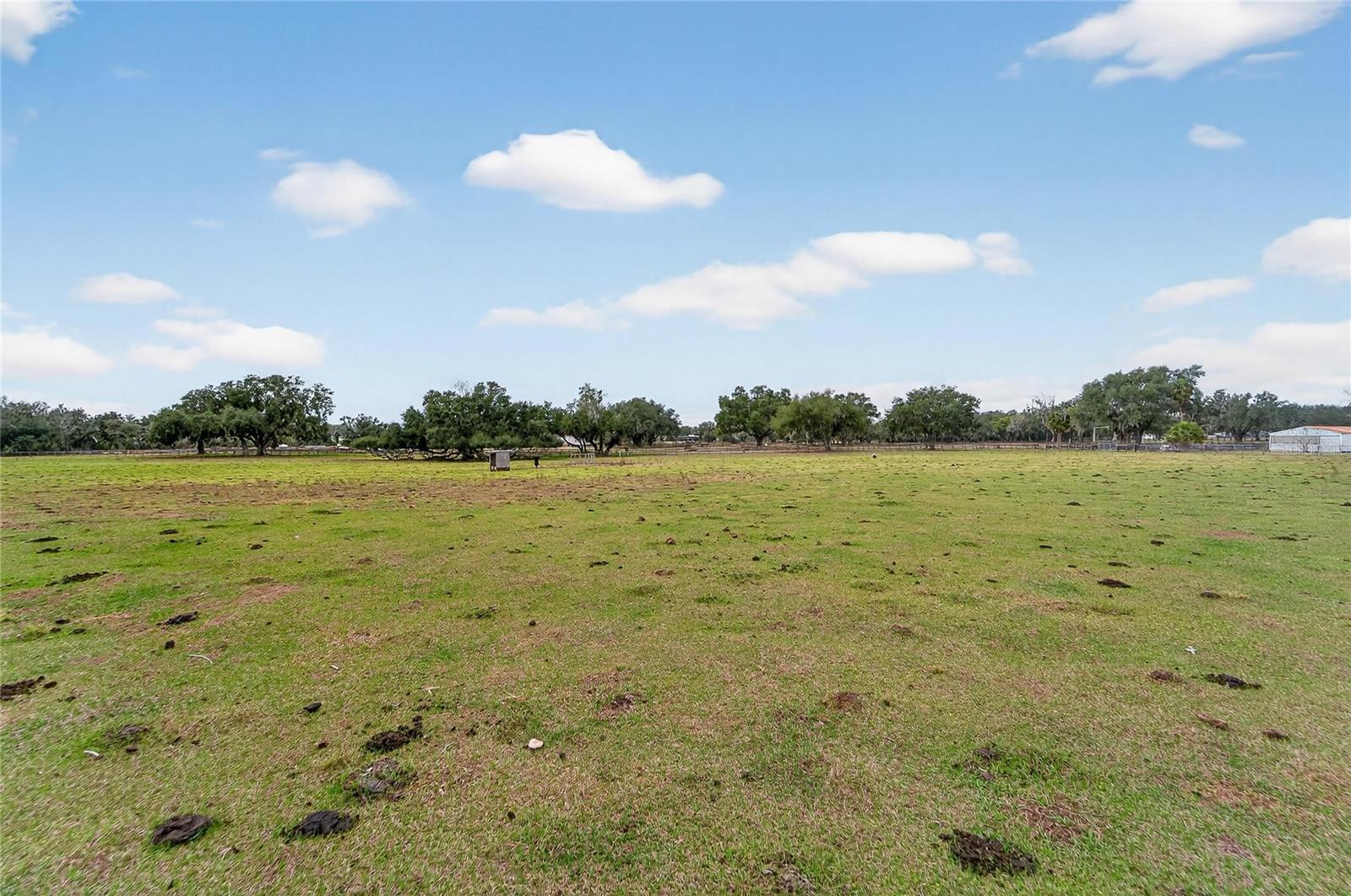 Image 33 of 38 For 2181 Trapnell Road