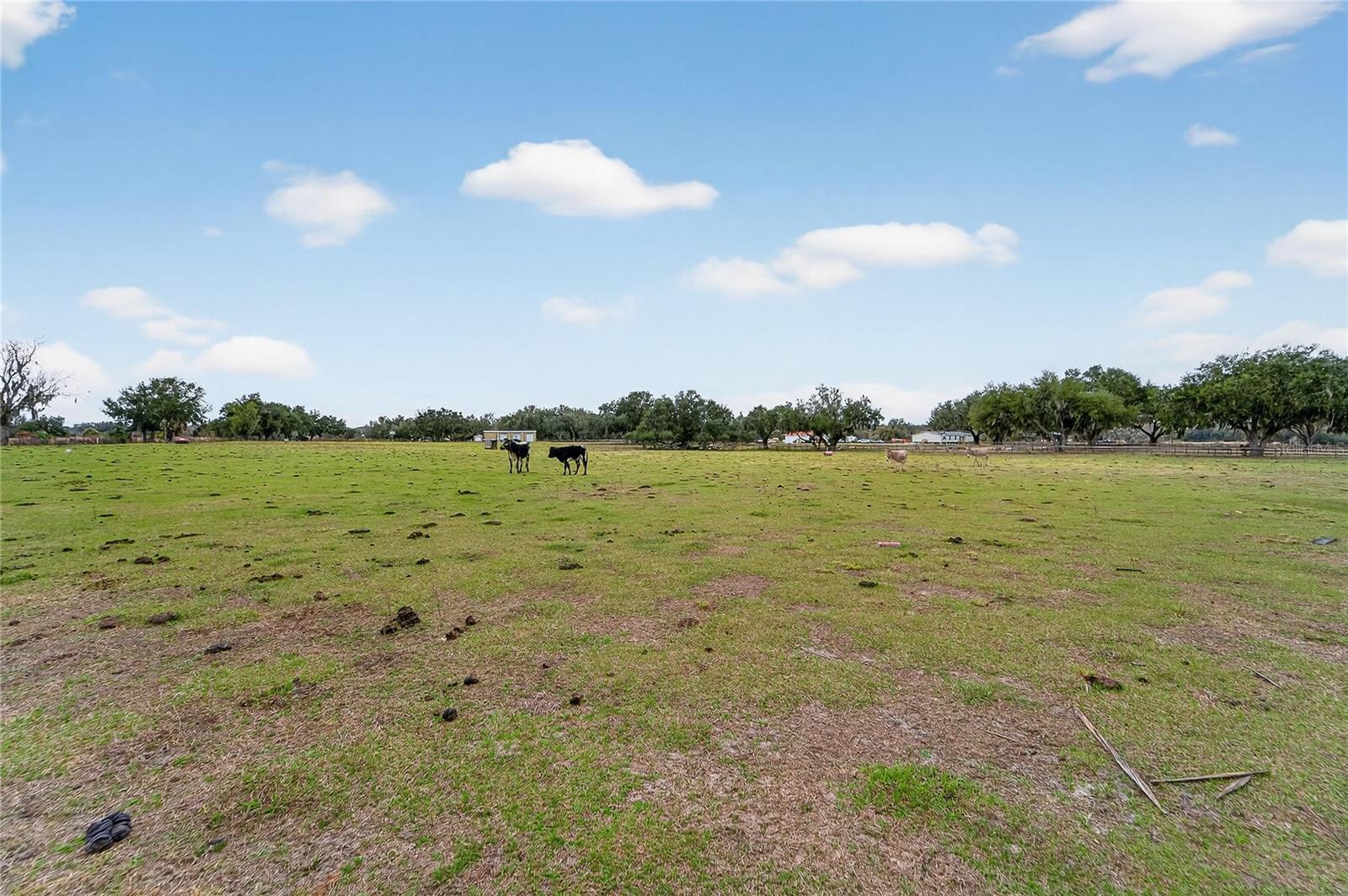 Image 35 of 38 For 2181 Trapnell Road