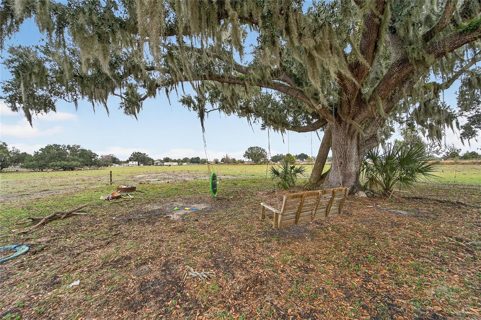 Image 8 of 38 For 2181 Trapnell Road