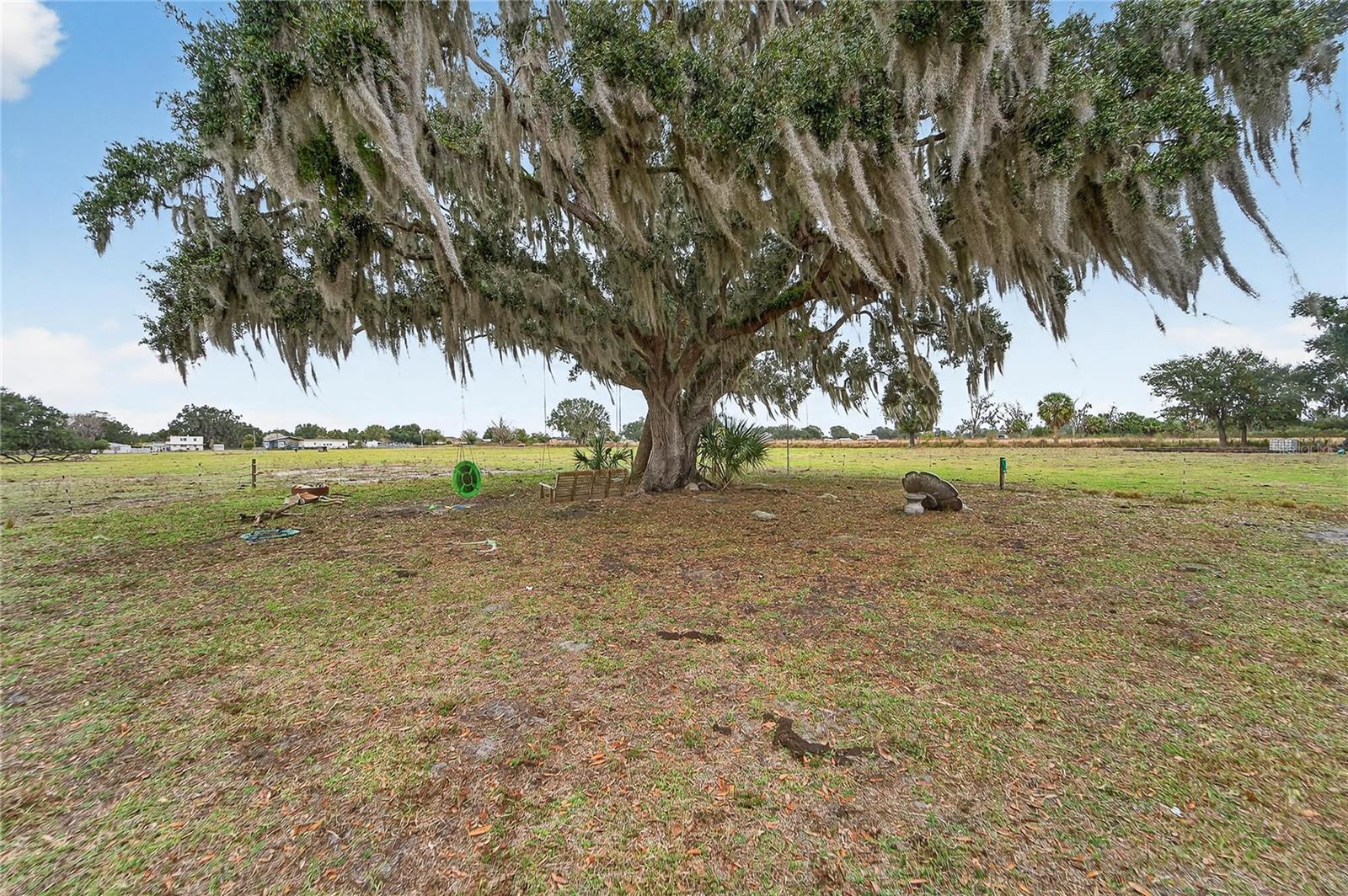 Image 9 of 38 For 2181 Trapnell Road