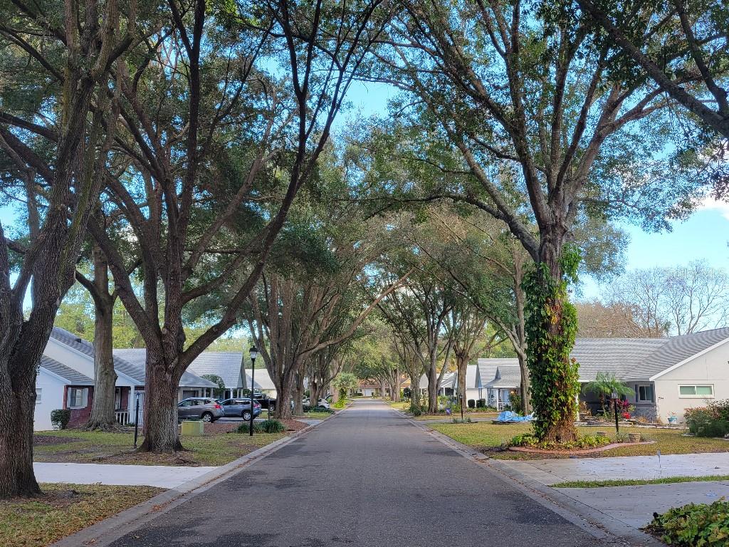 Image 2 of 8 For 9368 82nd Terrace D