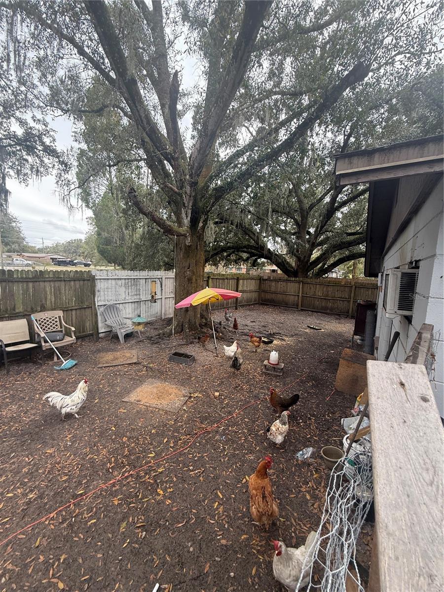 Image 12 of 15 For 1005 Washington Street