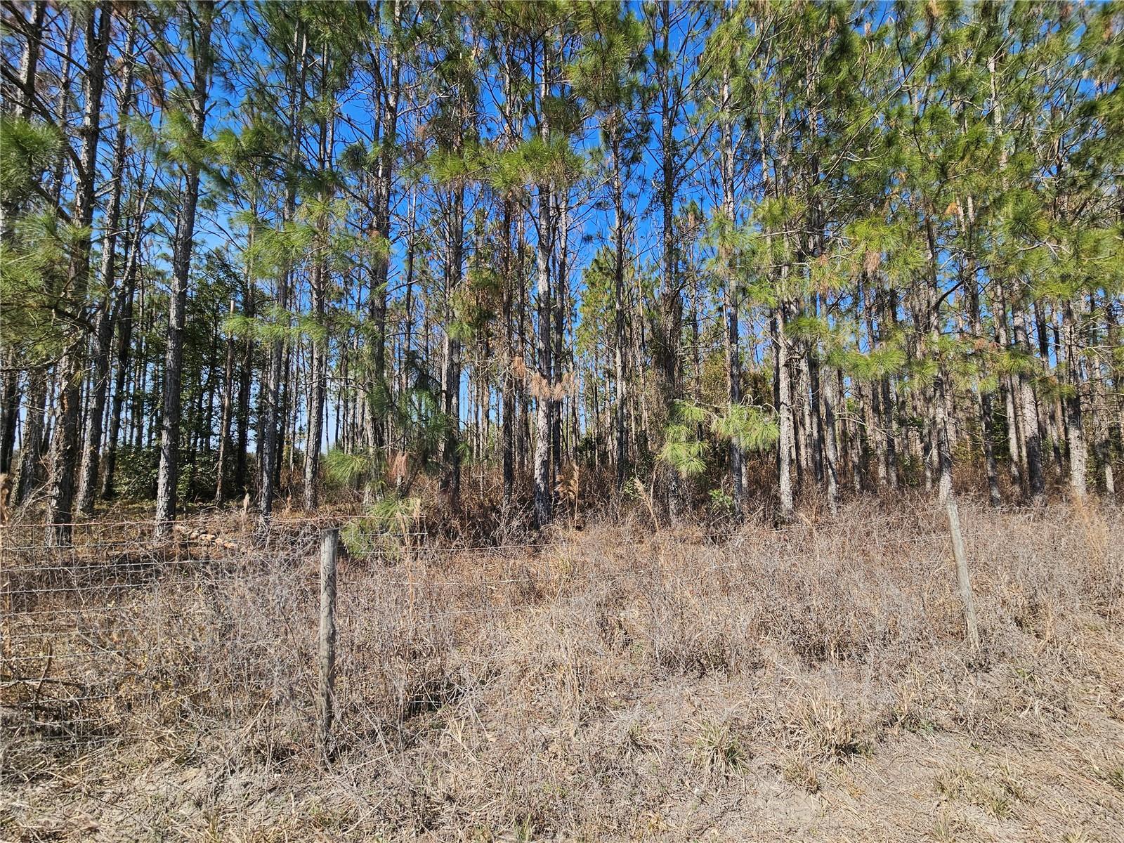 Image 13 of 65 For 13308 Duck Lake Canal Road