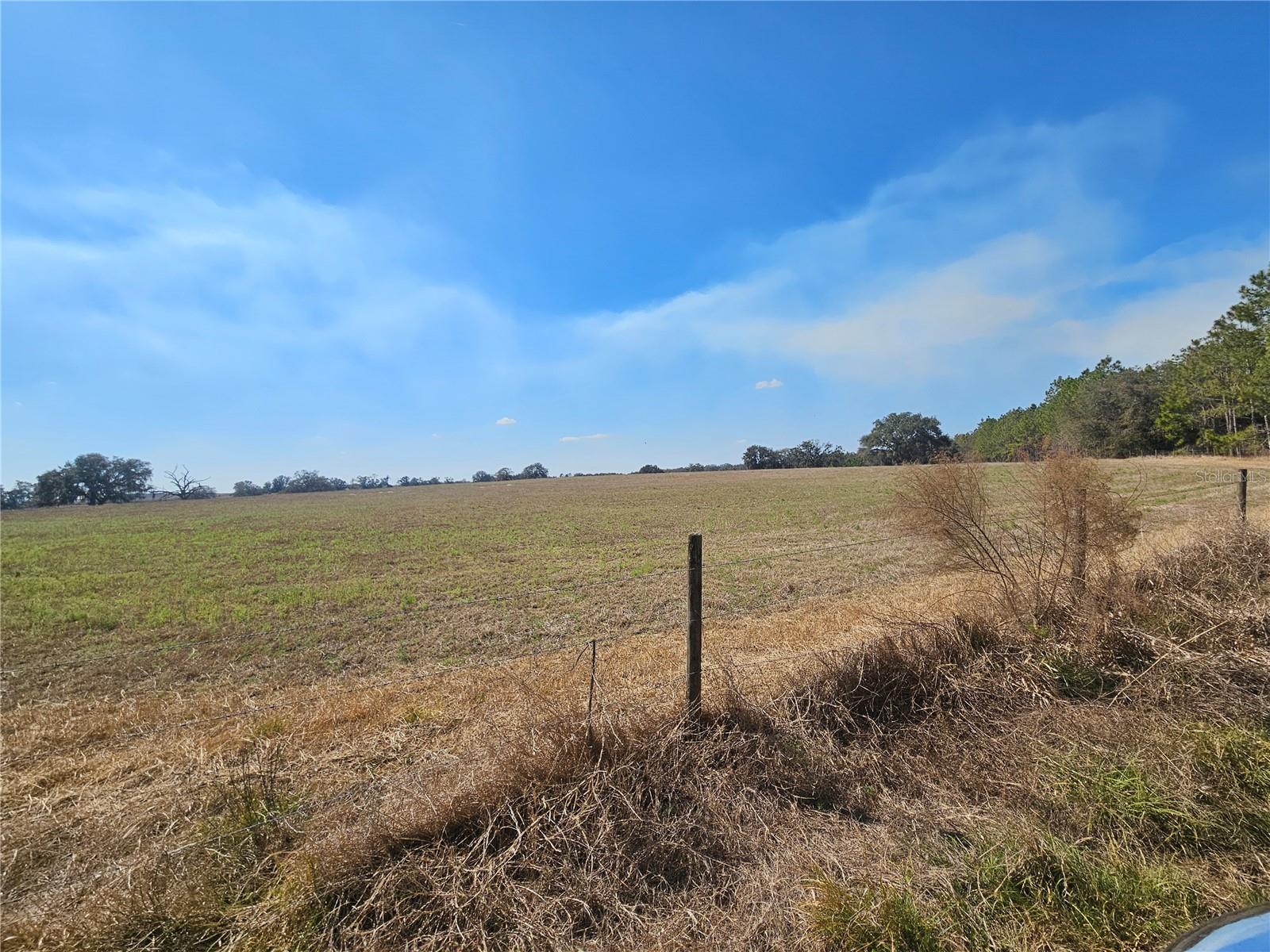 Image 17 of 65 For 13308 Duck Lake Canal Road