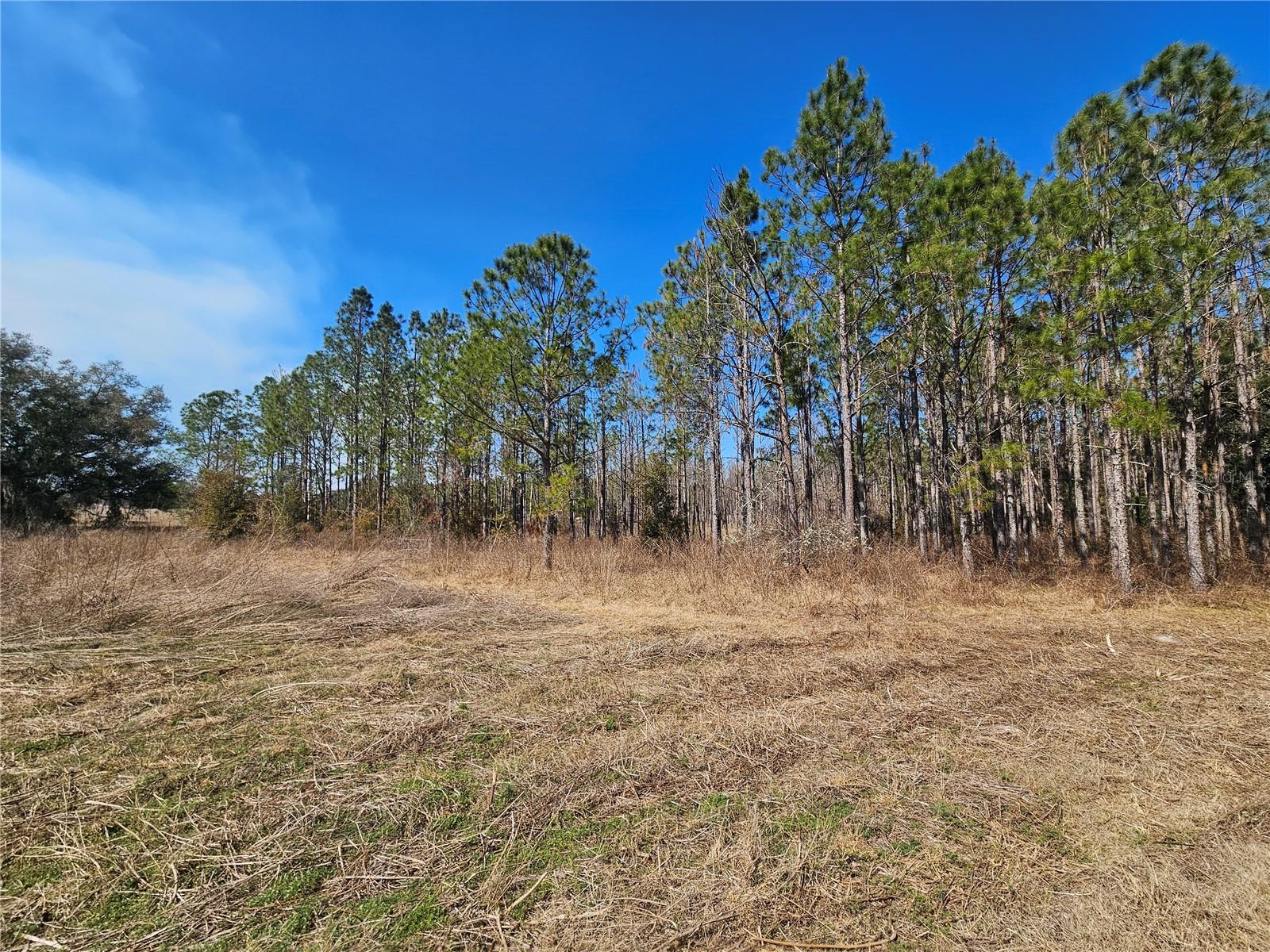 Image 18 of 65 For 13308 Duck Lake Canal Road