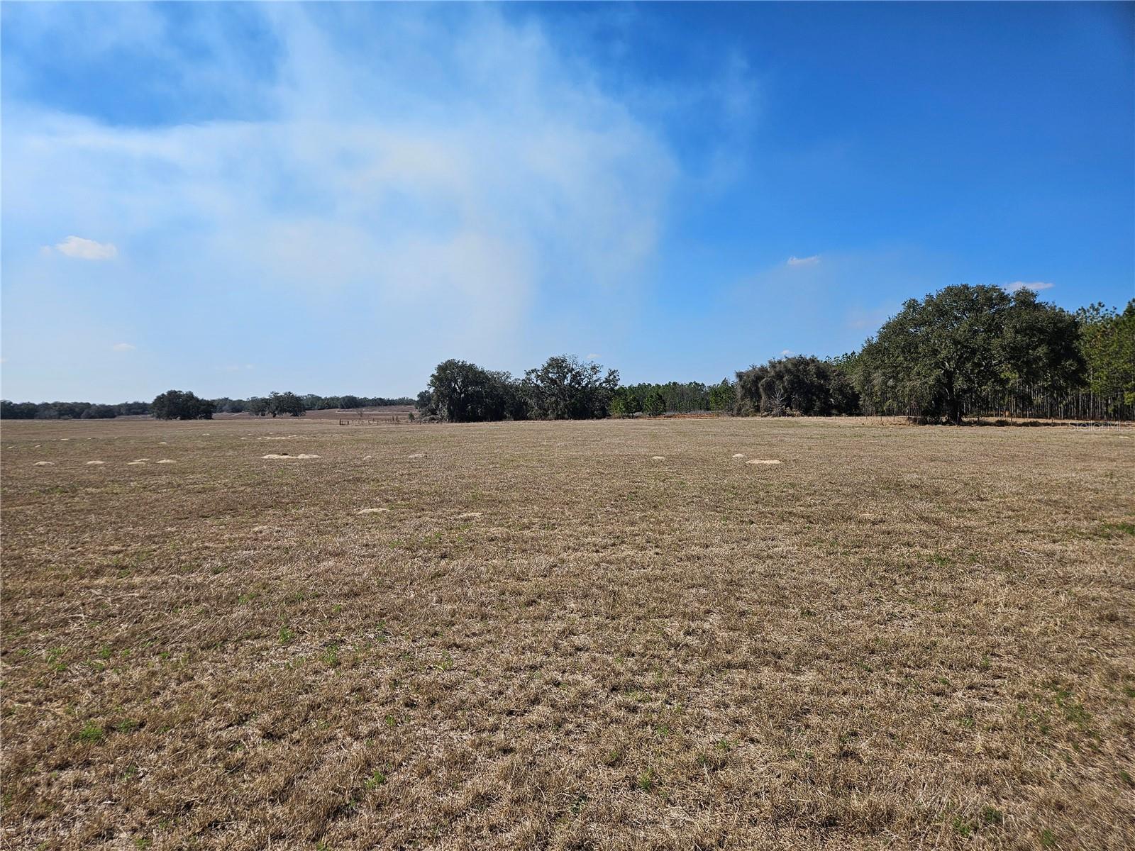 Image 20 of 65 For 13308 Duck Lake Canal Road