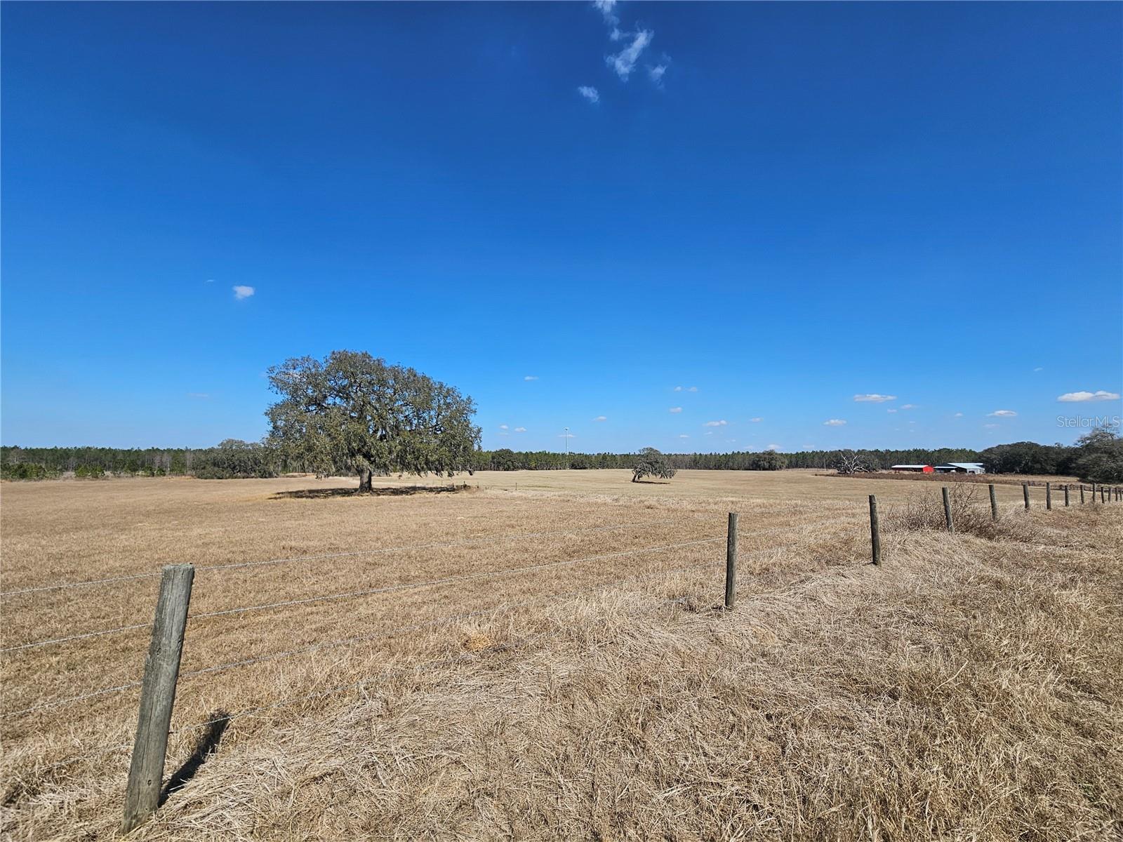 Image 29 of 65 For 13308 Duck Lake Canal Road