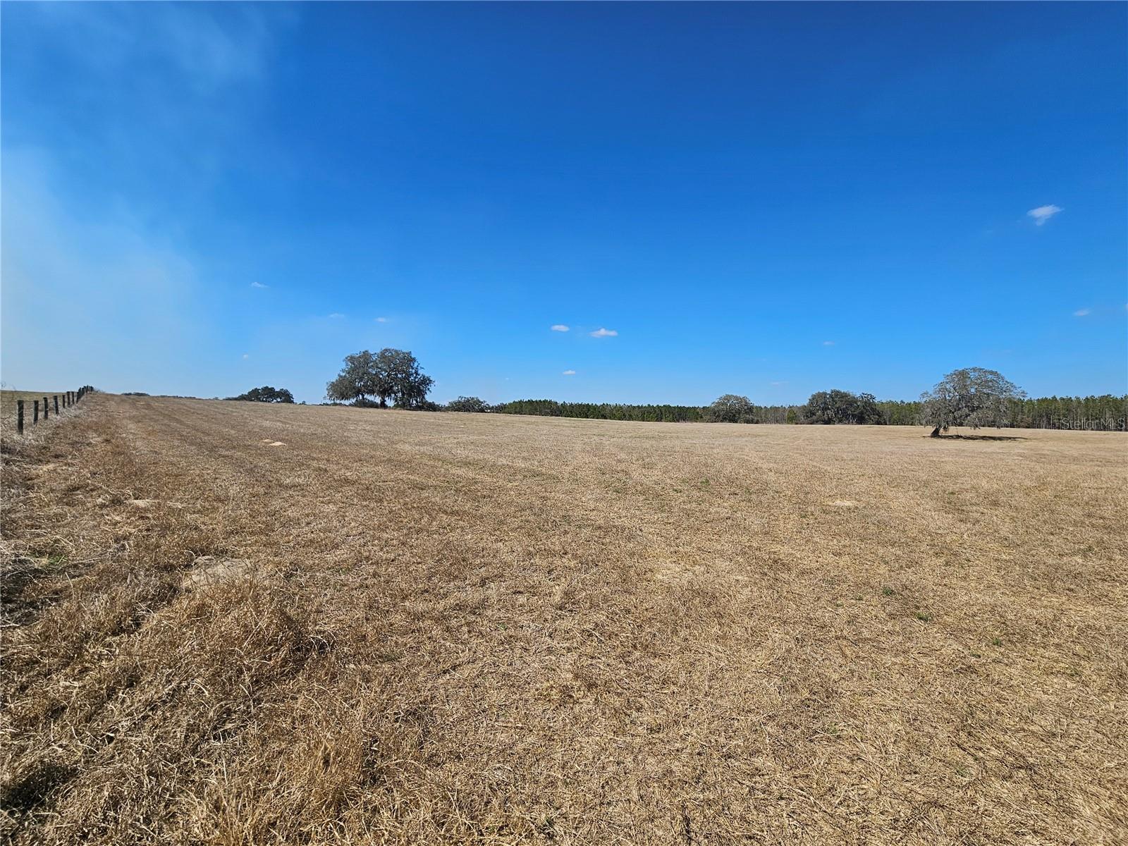 Image 30 of 65 For 13308 Duck Lake Canal Road