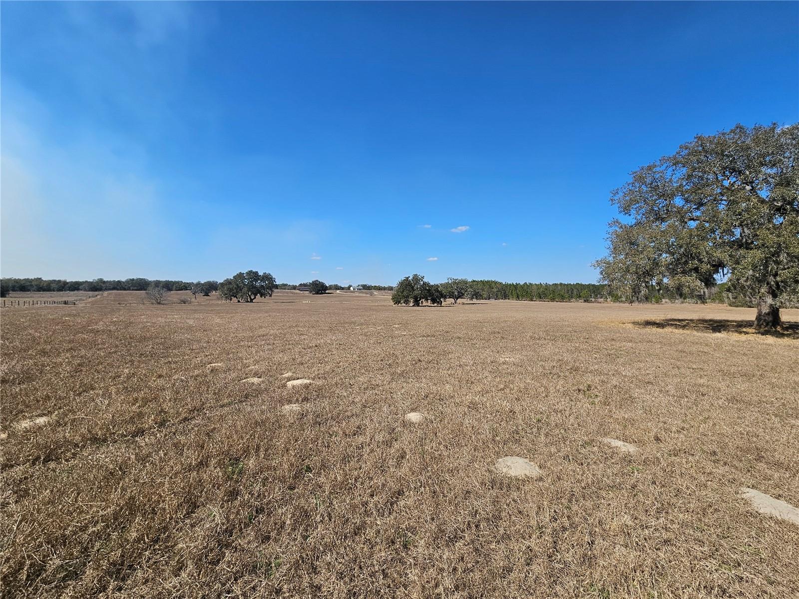 Image 32 of 65 For 13308 Duck Lake Canal Road