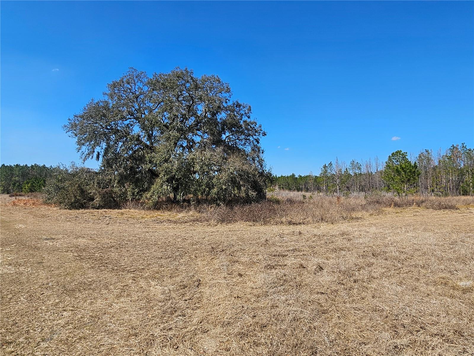 Image 34 of 65 For 13308 Duck Lake Canal Road