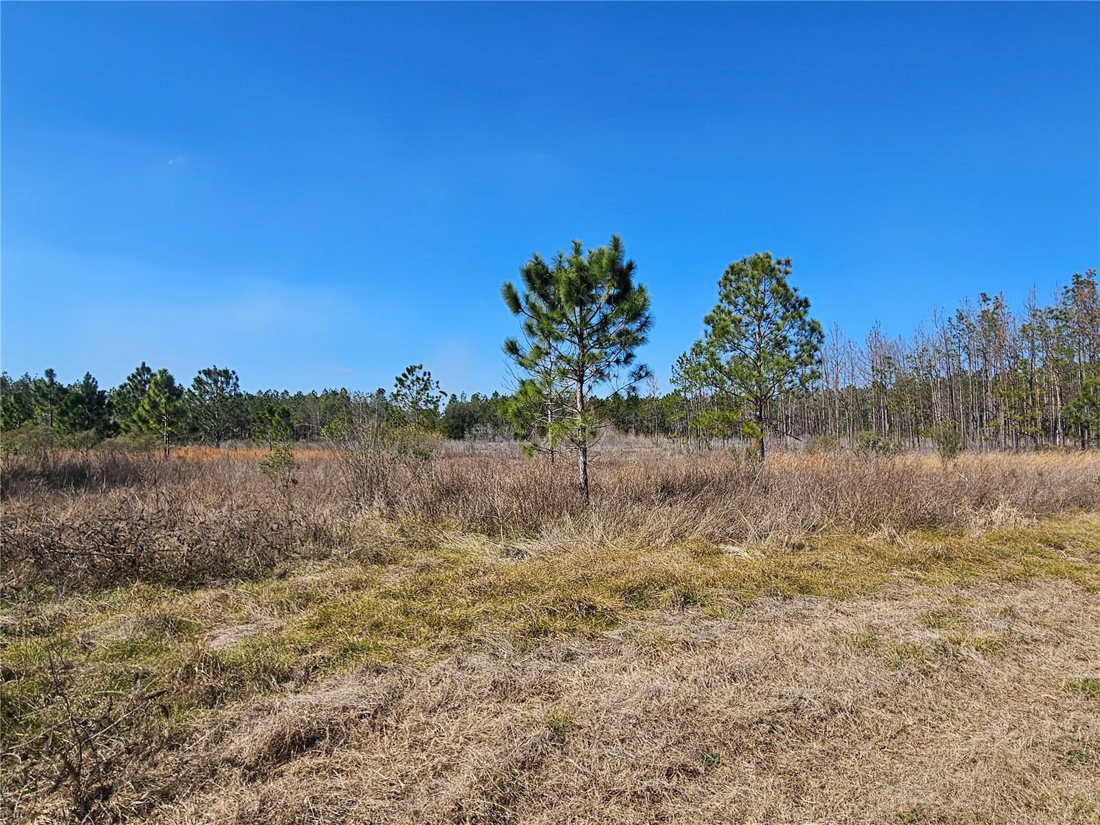 Image 35 of 65 For 13308 Duck Lake Canal Road