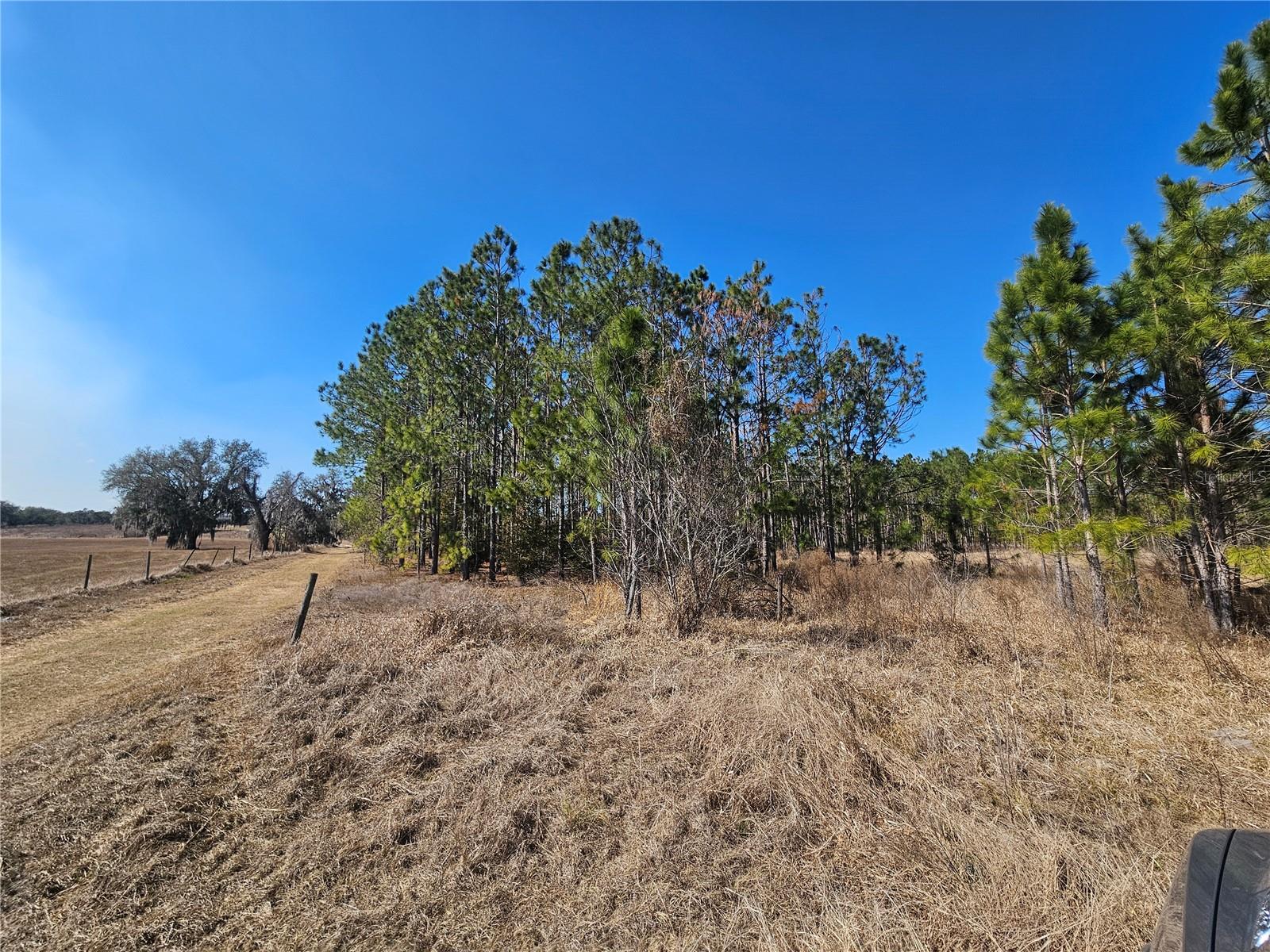 Image 38 of 65 For 13308 Duck Lake Canal Road