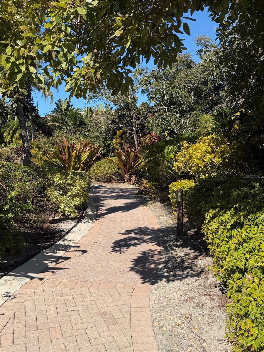 Image 53 of 55 For 1708 Triano Circle 1708