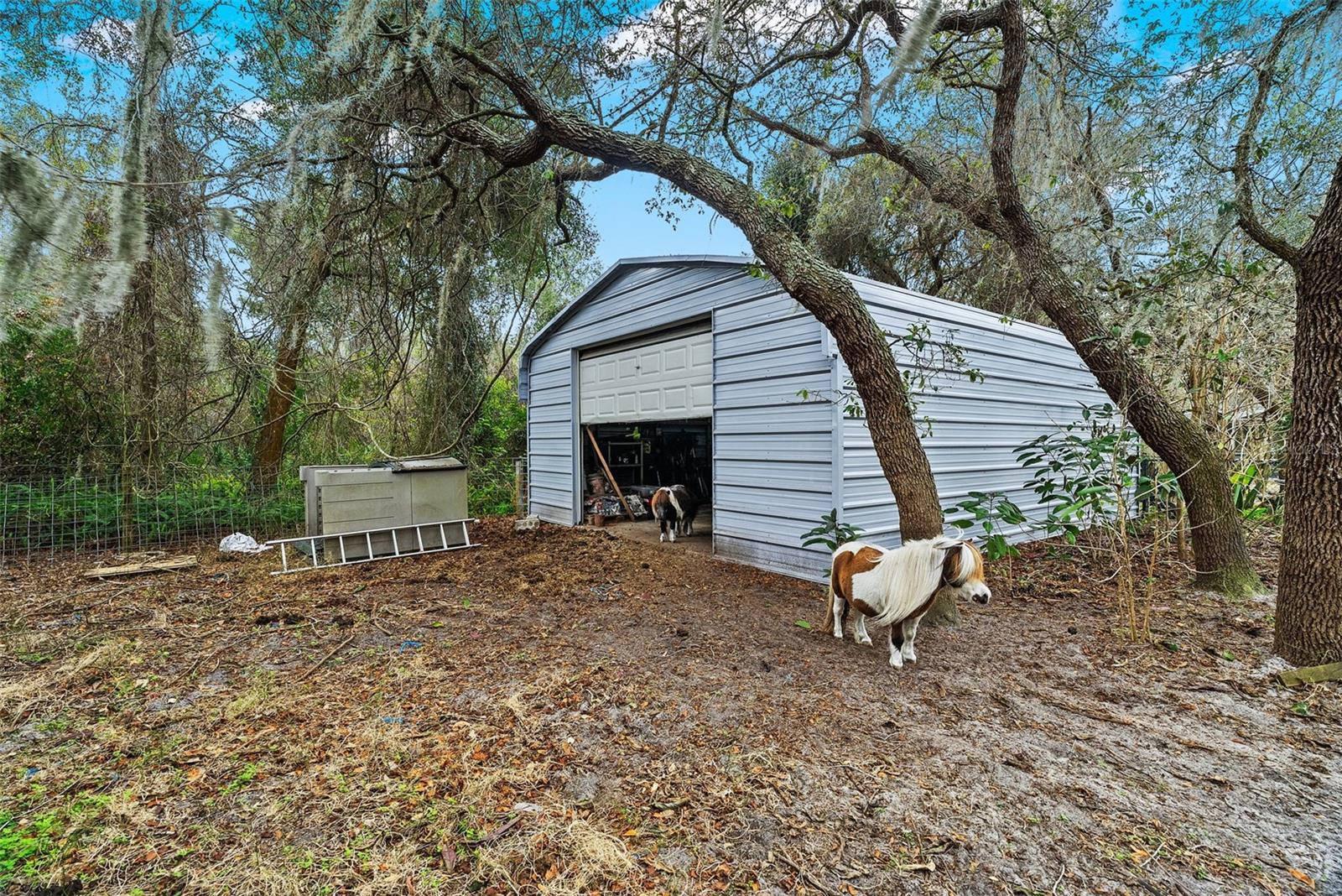 Image 51 of 67 For 6568 Millstone Drive