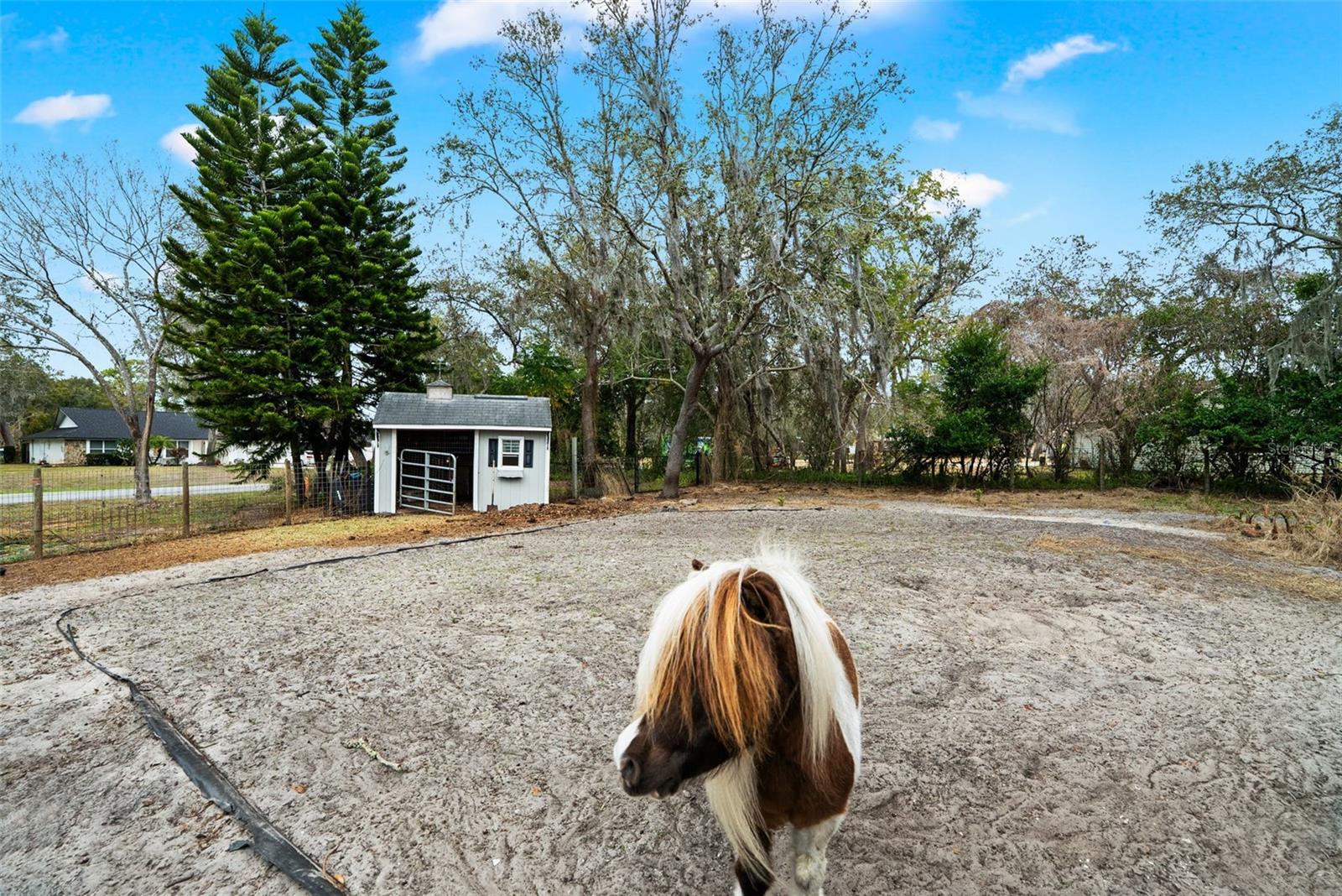 Image 54 of 67 For 6568 Millstone Drive