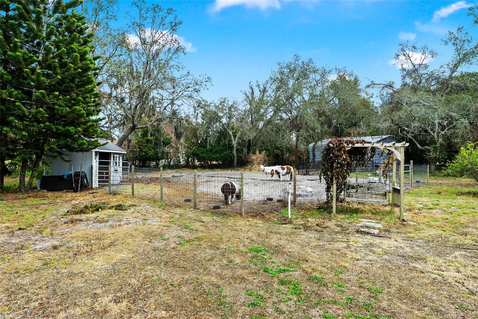 Image 55 of 67 For 6568 Millstone Drive