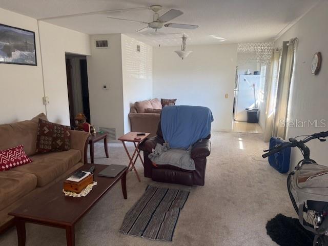 Image 20 of 44 For 4143 57th Street N 600