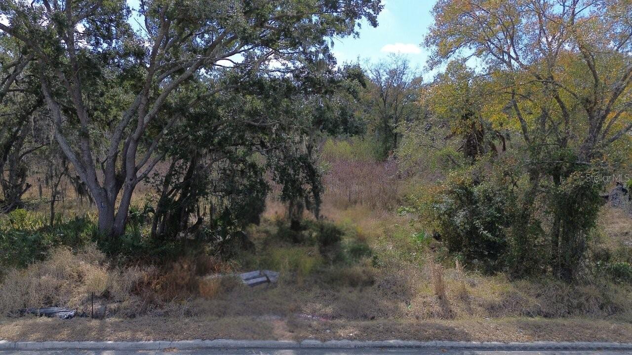 Listing photo id 0 for 0 Diana Street