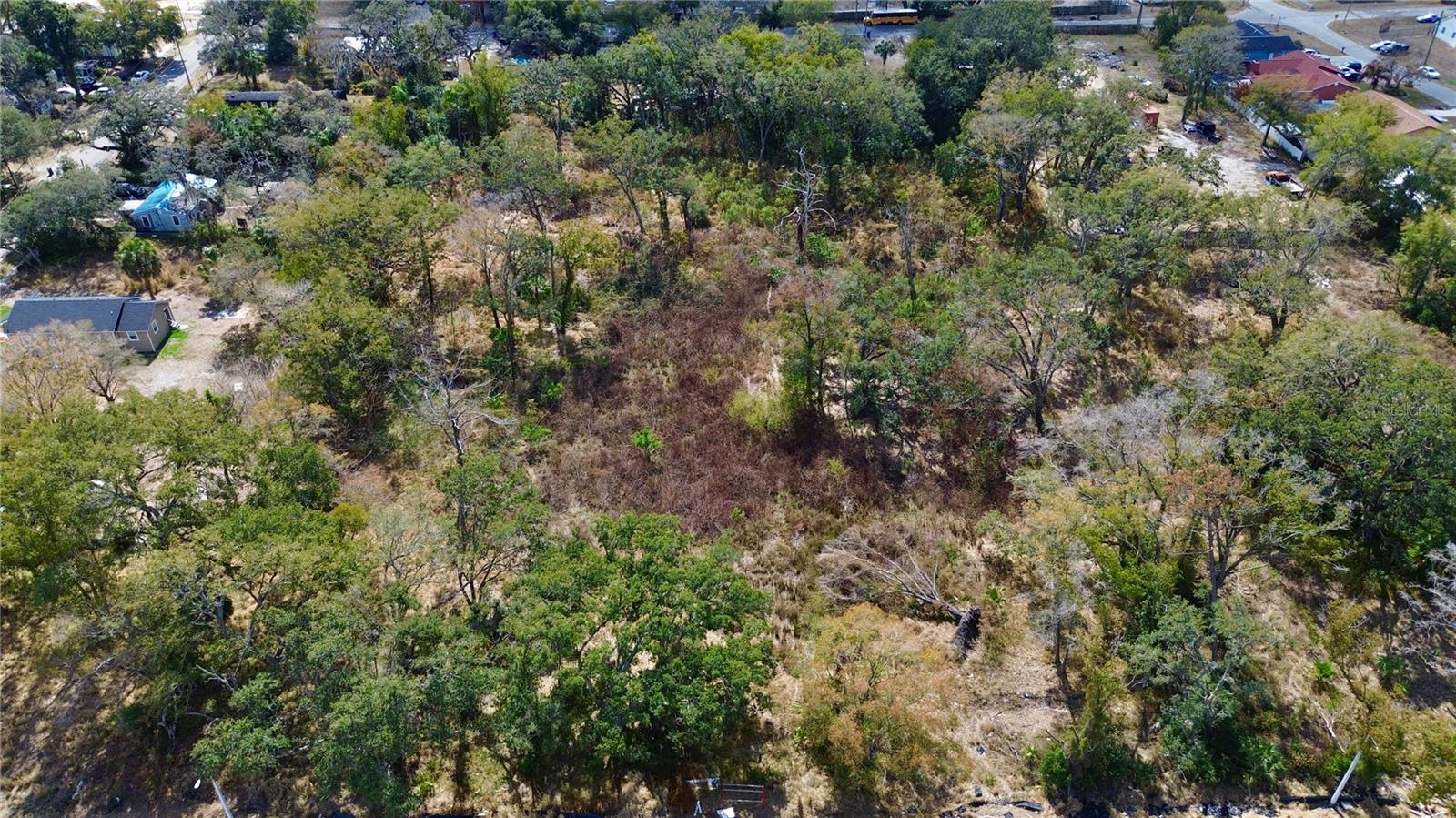 Listing photo id 2 for 0 Diana Street