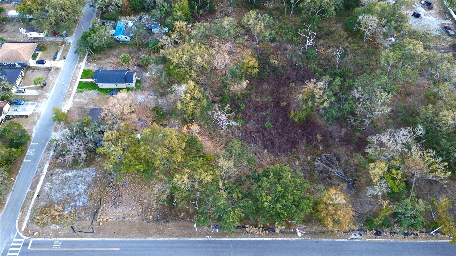 Listing photo id 3 for 0 Diana Street