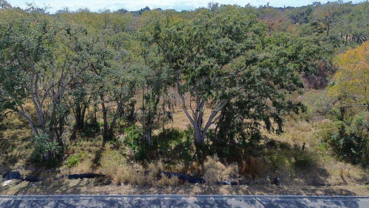 Details for Diana Street, TAMPA, FL 33610