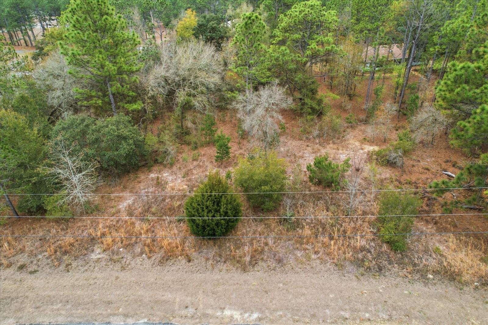 Image 6 of 13 For 2924 Eunice Drive