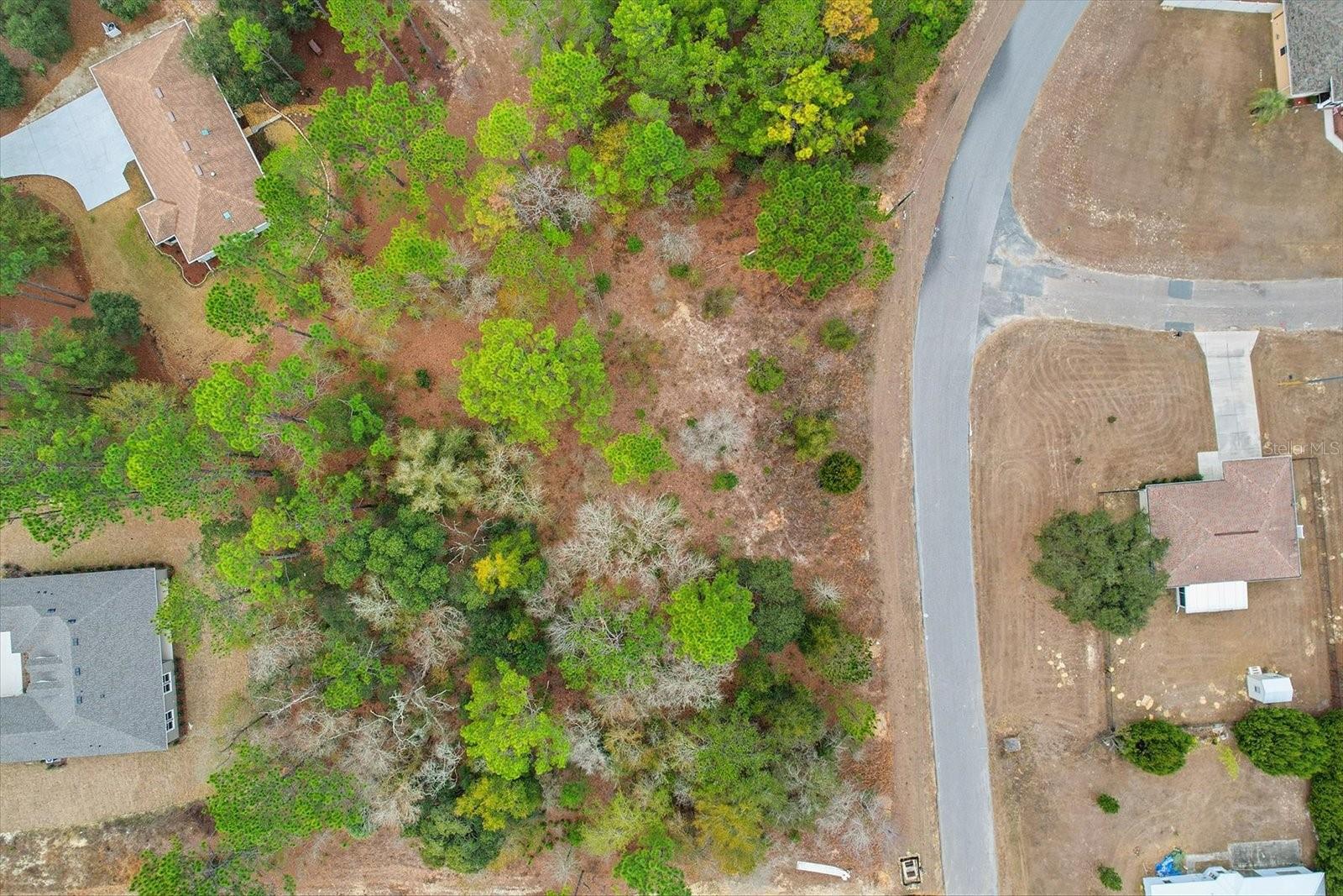 Image 7 of 13 For 2924 Eunice Drive