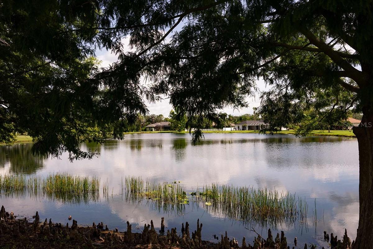 Image 17 of 20 For 622 Kingswood Court