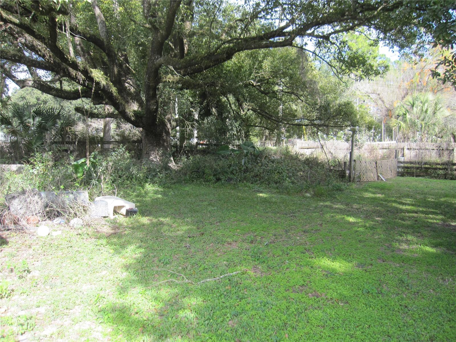 Image 3 of 30 For 37736 Phelps Road