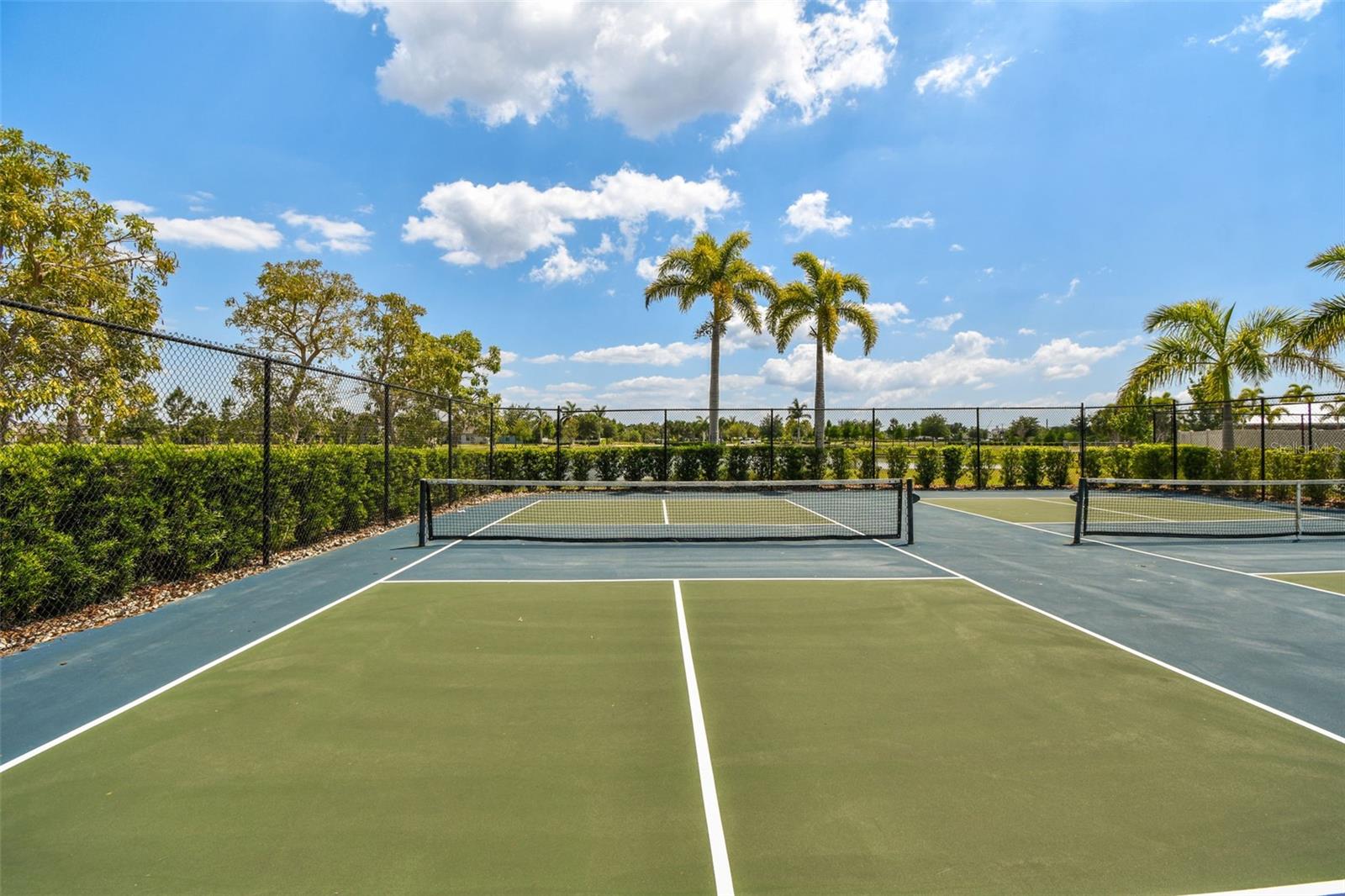 Image 54 of 57 For 15709 Demory Point Place