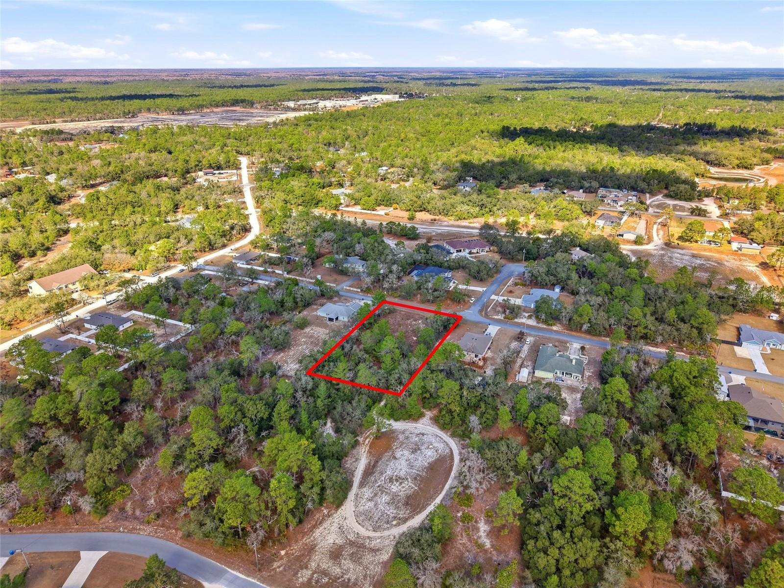 Image 10 of 14 For 11263 Mexican Canary Avenue